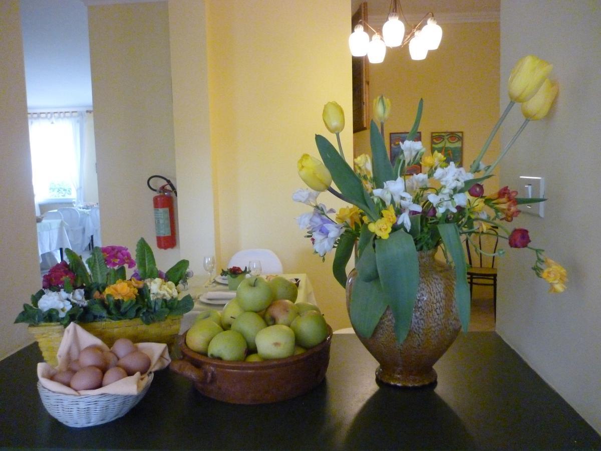 Hotel "La Salute" Monte Grimano Terme 外观 照片